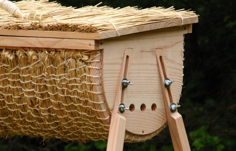 Медоносные пчёлы ульи