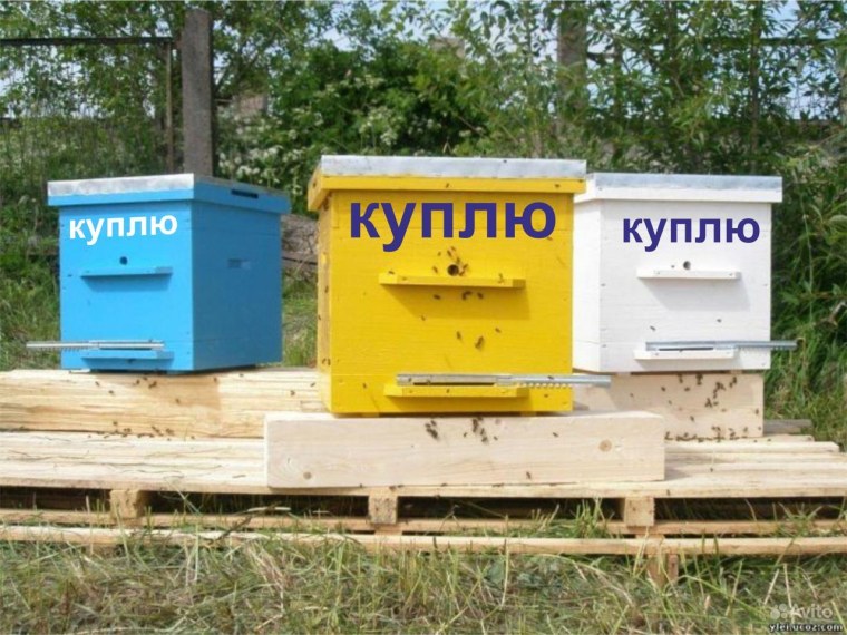 Ульи для пчел