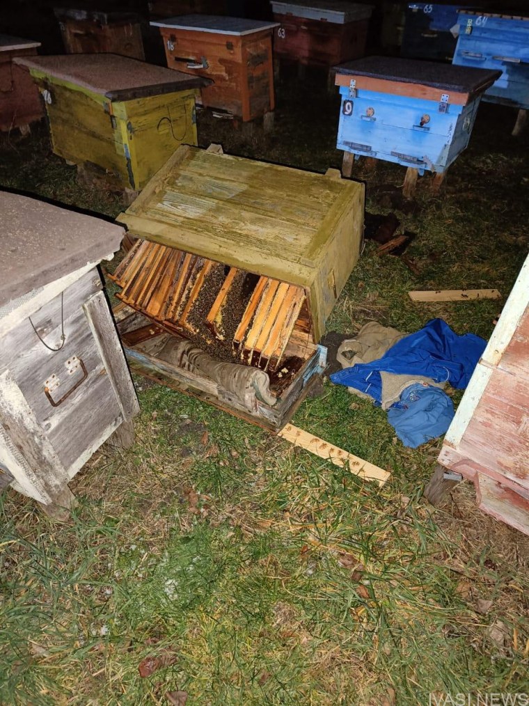 Flow Hive Honey ульи