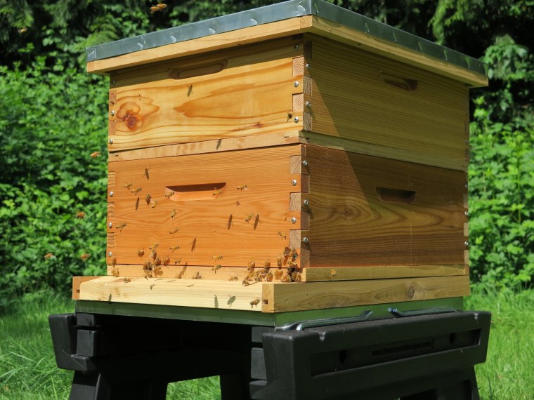 Улей для пасеки