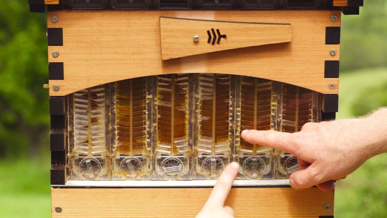 Пчелиные ульи