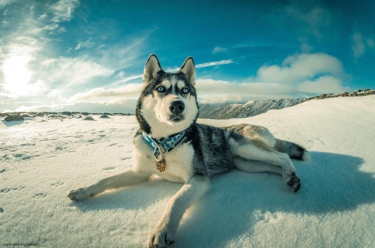 Даяна Чупатинова