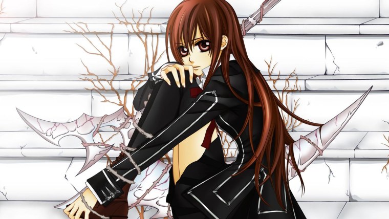 Рыцарь-вампир / Vampire Knight