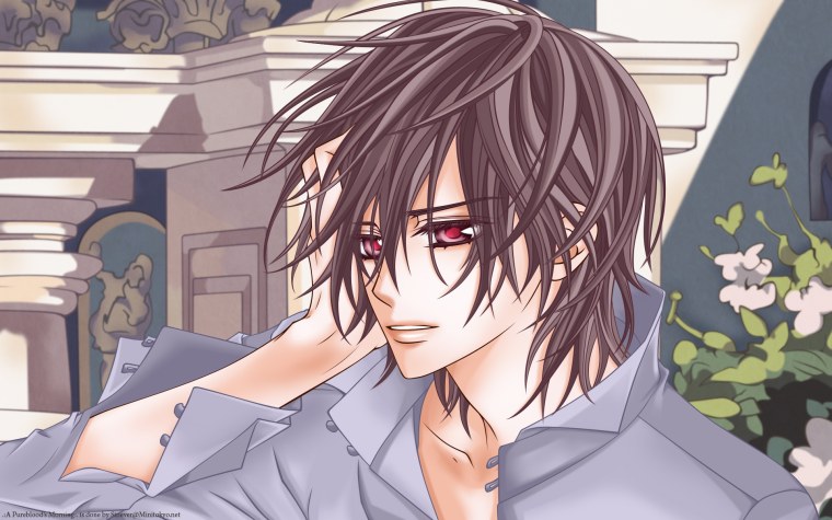 Мой парень вампир аниме