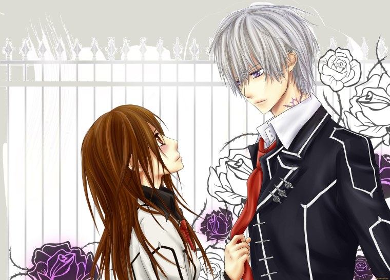 Vampire Knight anime