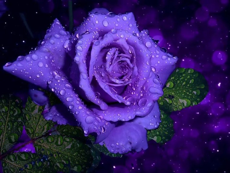 Красивый синий