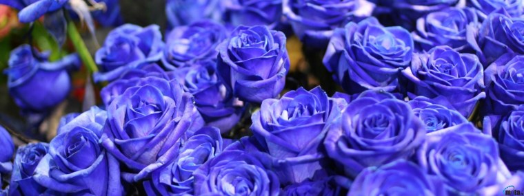 Золотой орнамент на синем фоне