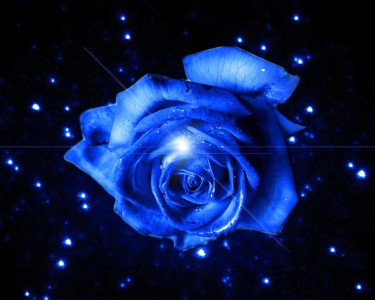 Цветы в темноте