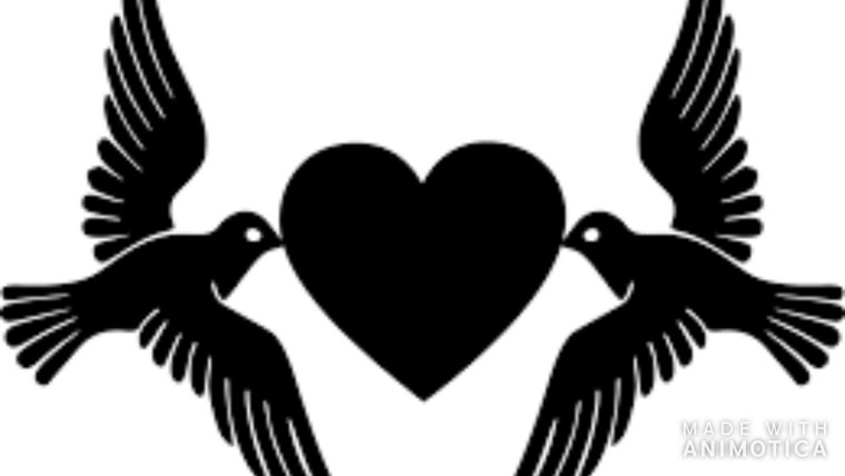 Сердце голубя