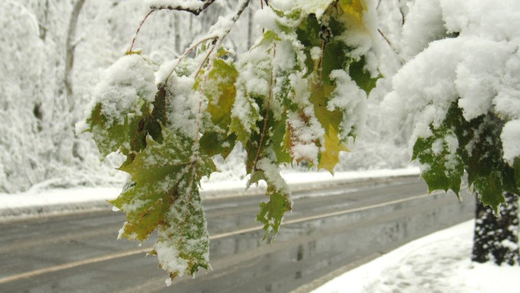 С началом зимы