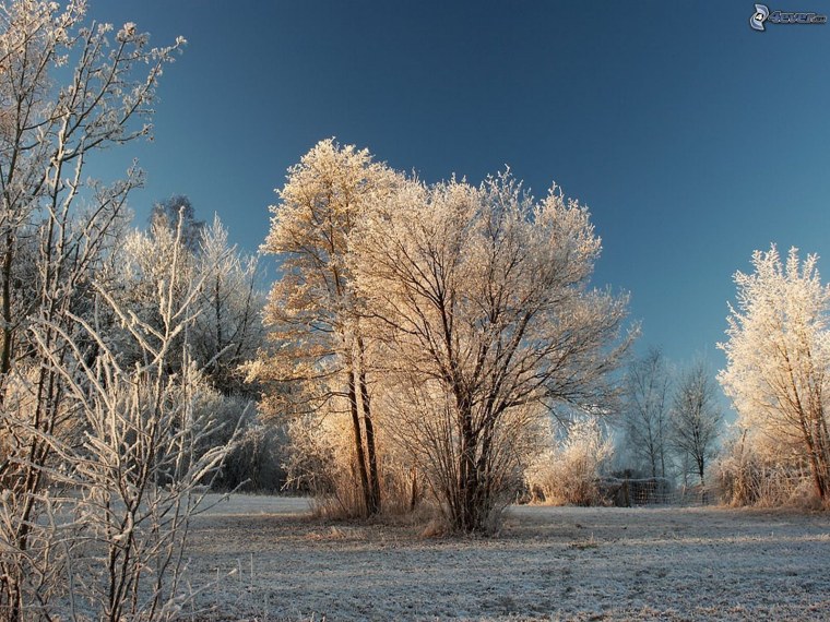 Зима ноябрь