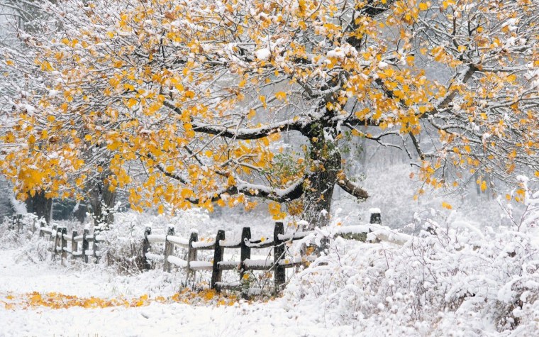 Первый снег