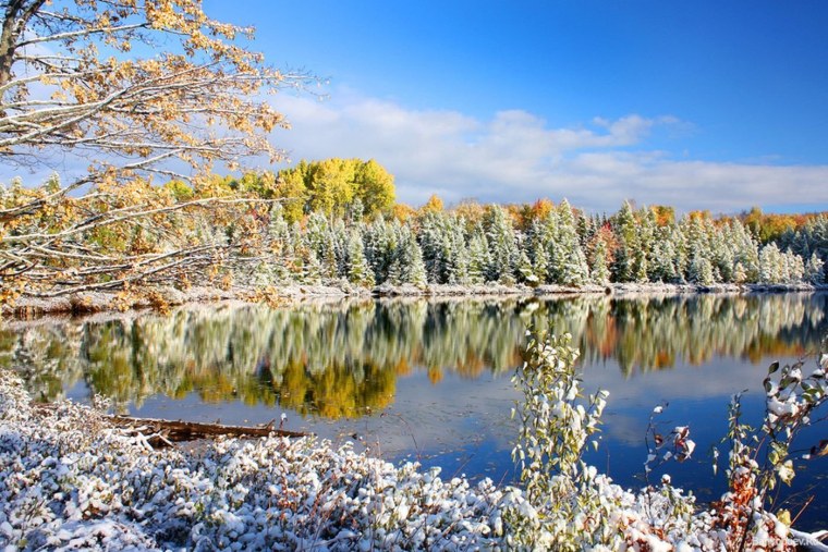 Осенние деревья в снегу