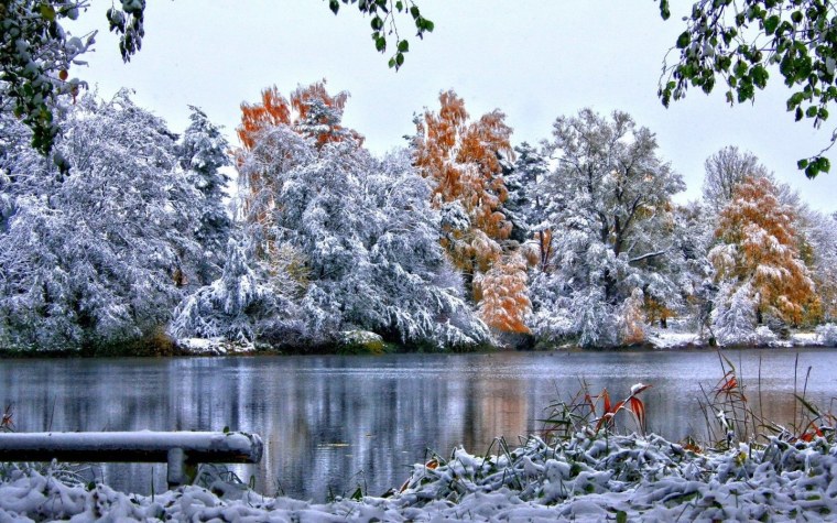 Ноябрь природа