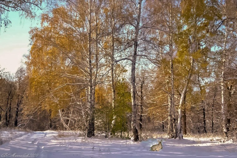 Ранняя зима в городе