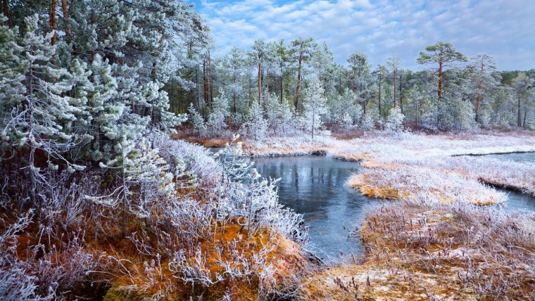 Ноябрь природа