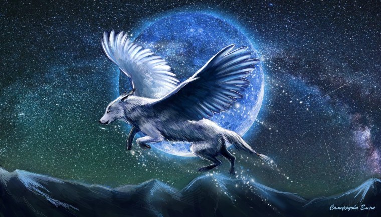 Симуран крылатый волк