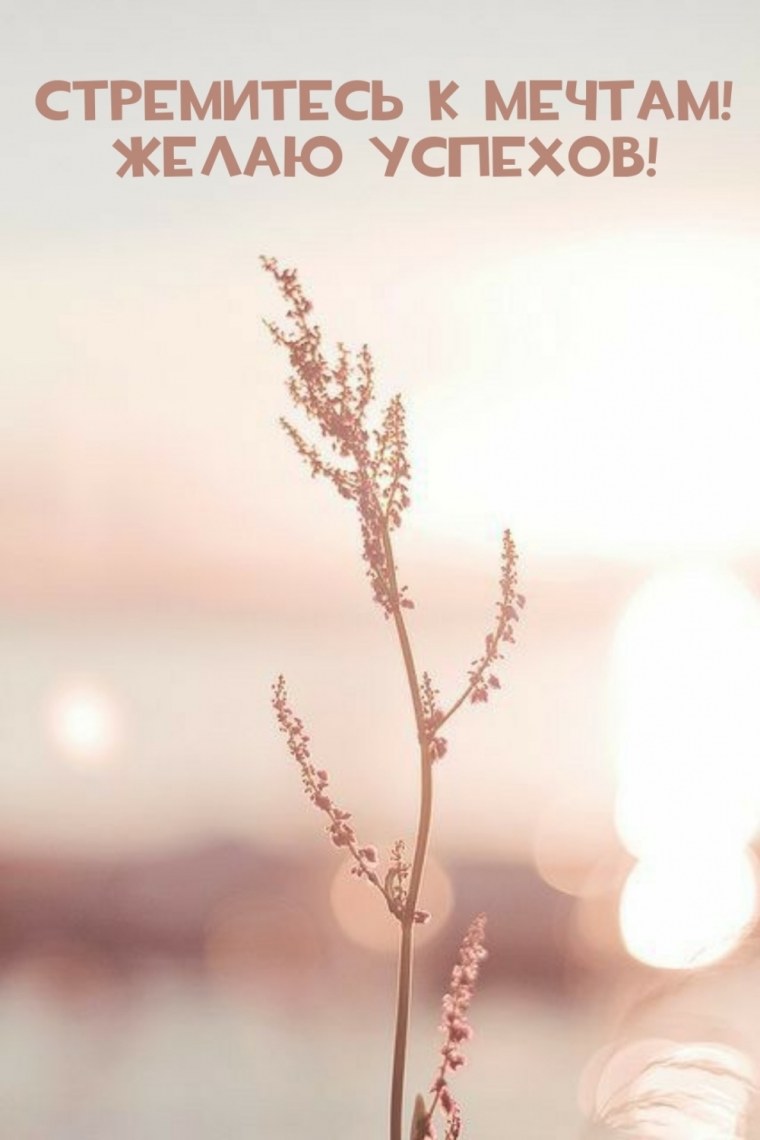 Эстетика пастельных тонов