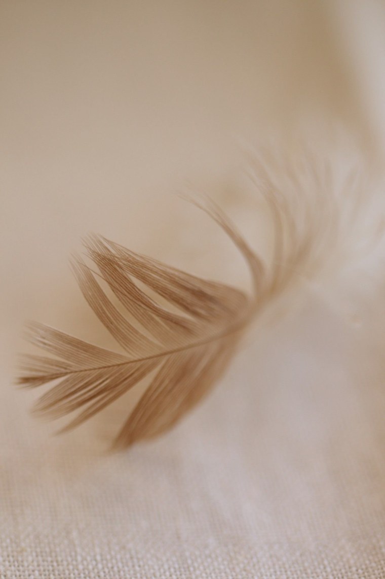 Фон в бежевых тонах