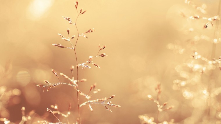 Нейтральный фон