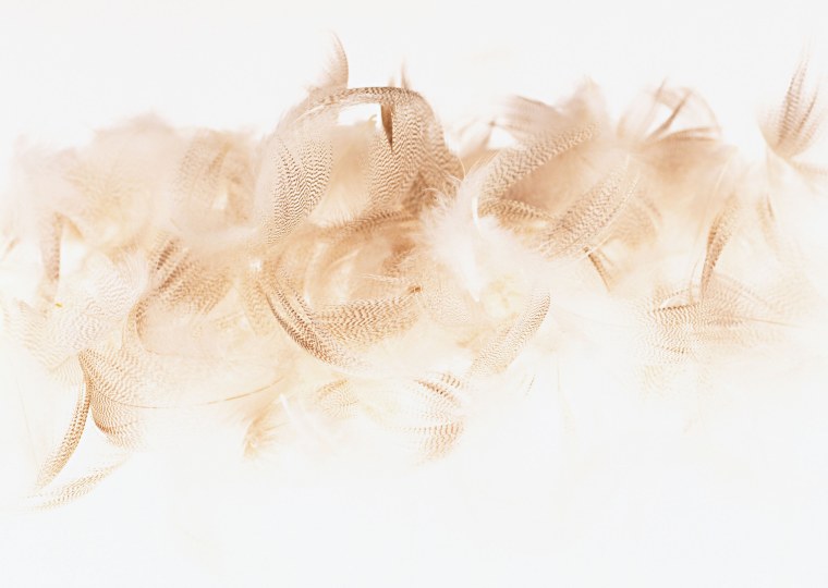 Цветы на коричневом фоне