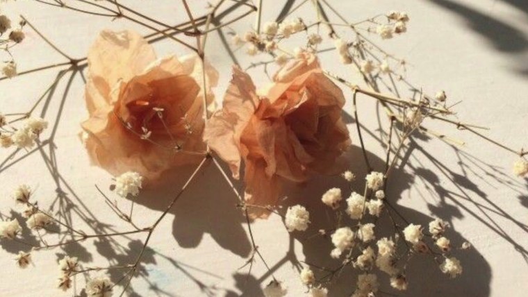 Эстетика в теплых тонах