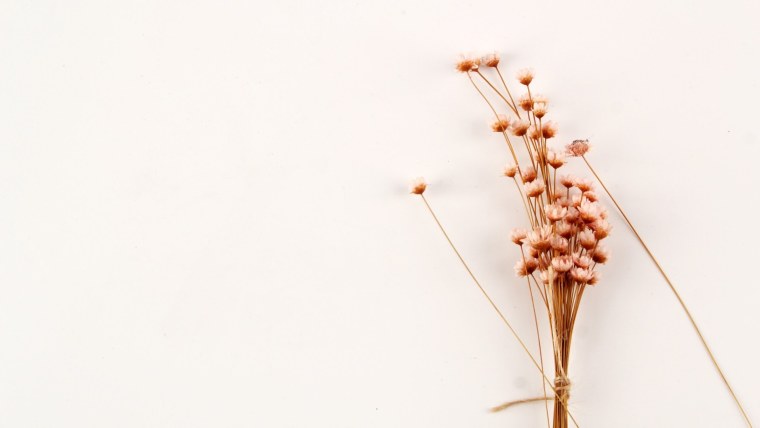 Цветы Минимализм