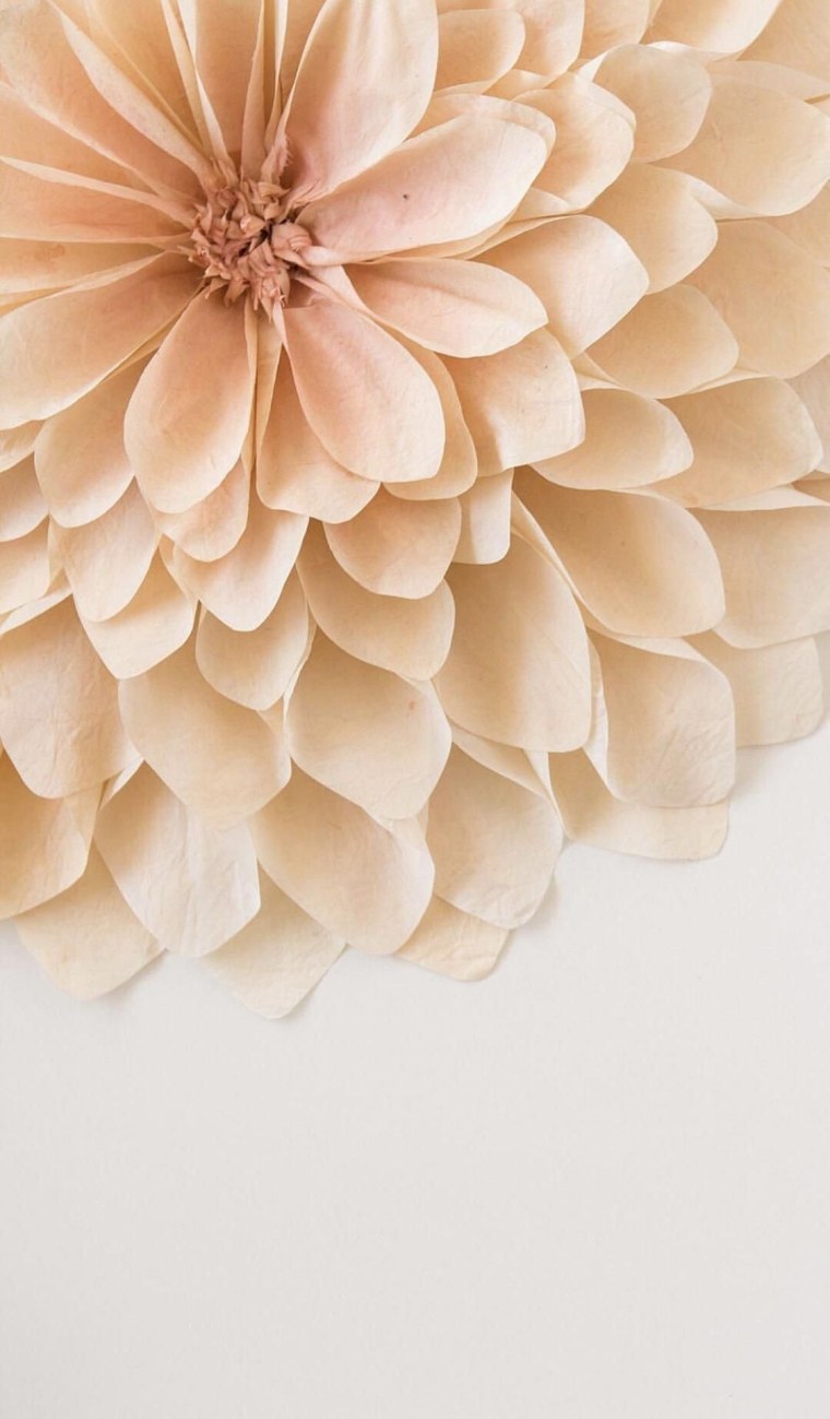 Красивые бежевые цветы