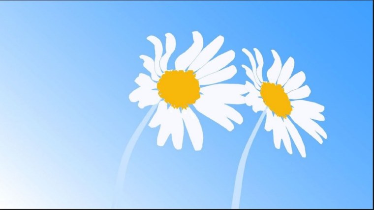 Ромашки на синем фоне