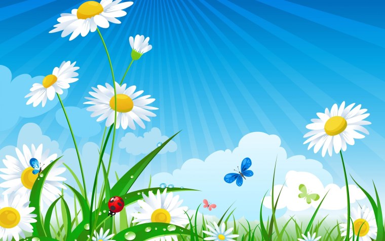 Фон ромашки