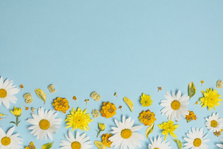 Цветочный узор ромашки на голубом фоне