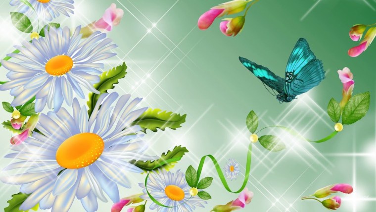 Фон ромашки для детского сада