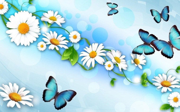 Бабочка и ромашки