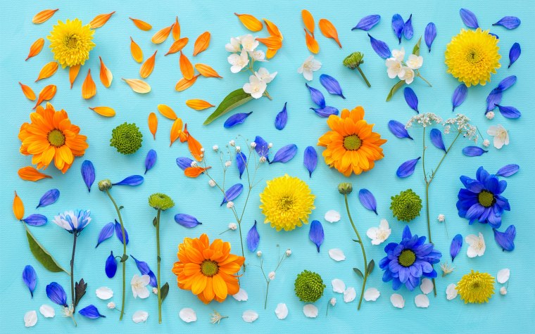 Лето мультяшное