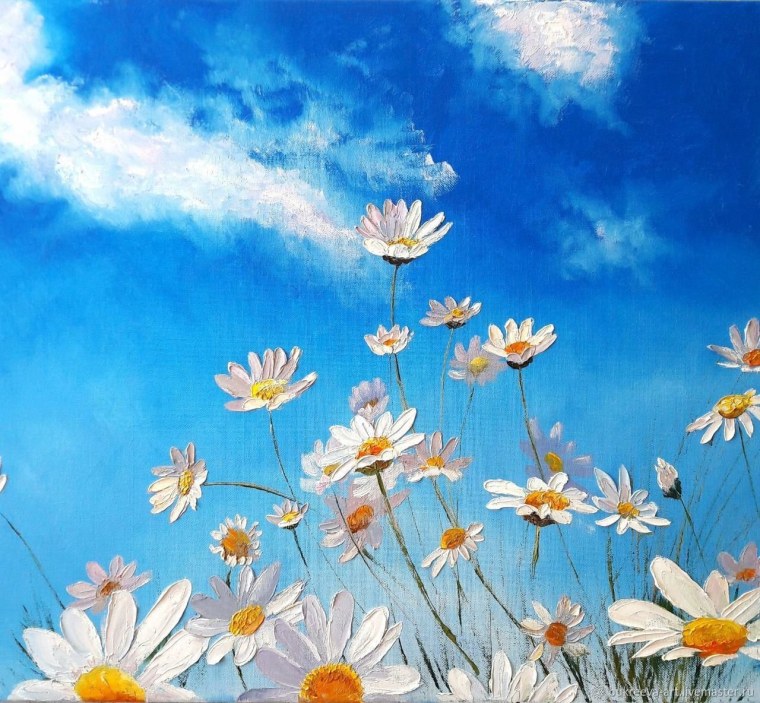 Ромашки на поле и бабочки