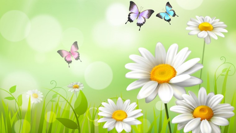 Ромашки на голубом небе