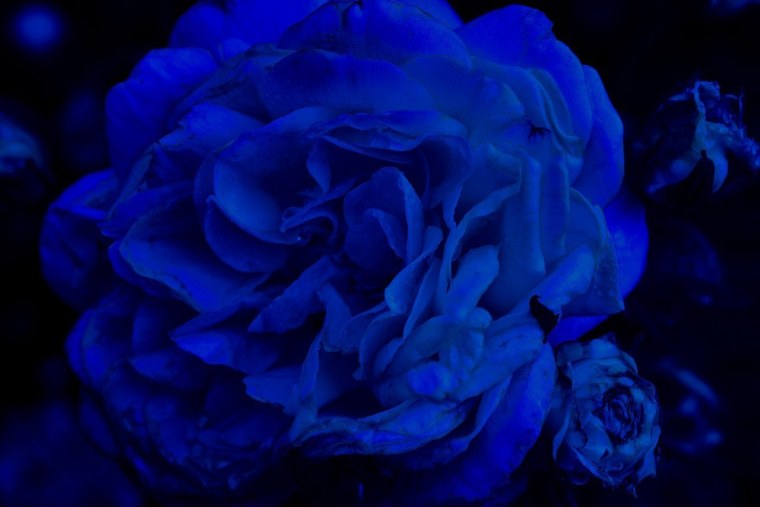 Эстетика синего