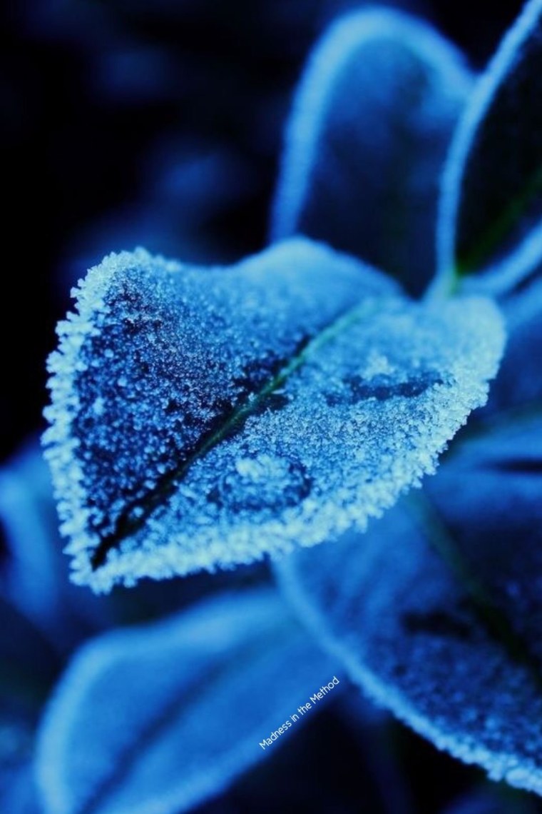 Вдохновение цветом голубой