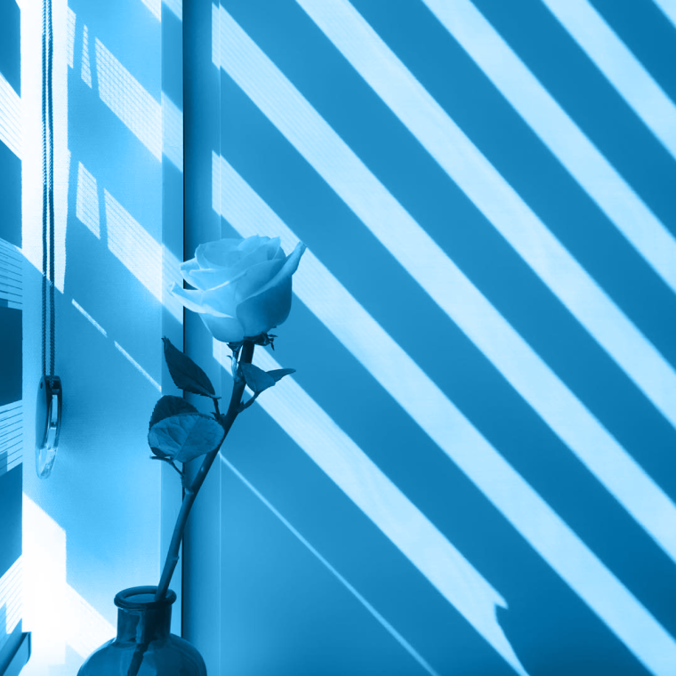 Эстетика голубого