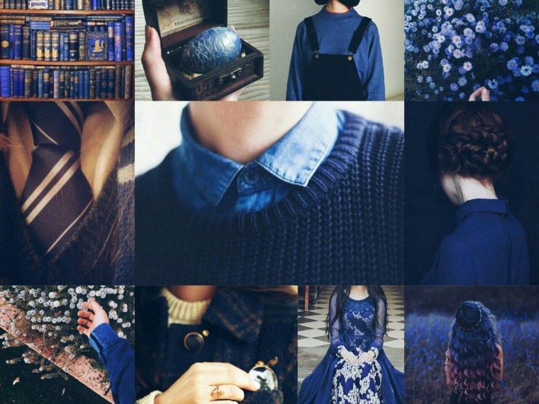 Ravenclaw Slytherin aesthetic