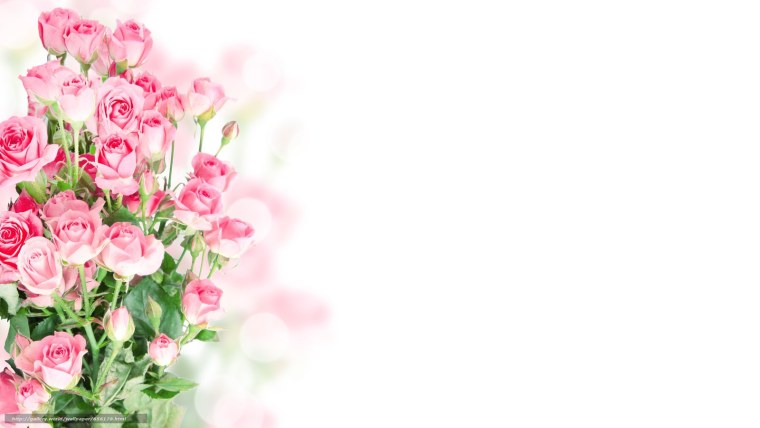 Рамка поздравляем