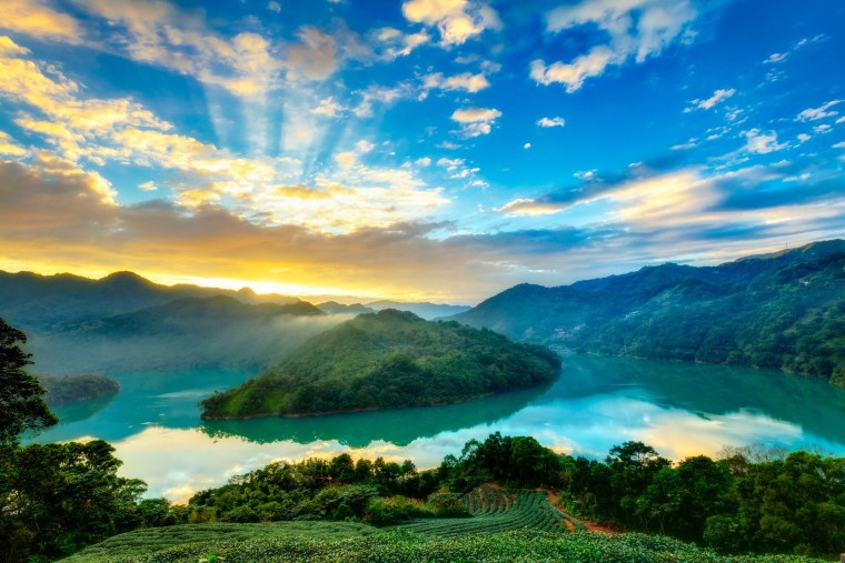 Красивые животные