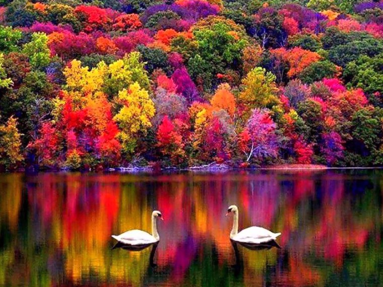 Элизабет Маркс Digital Desire