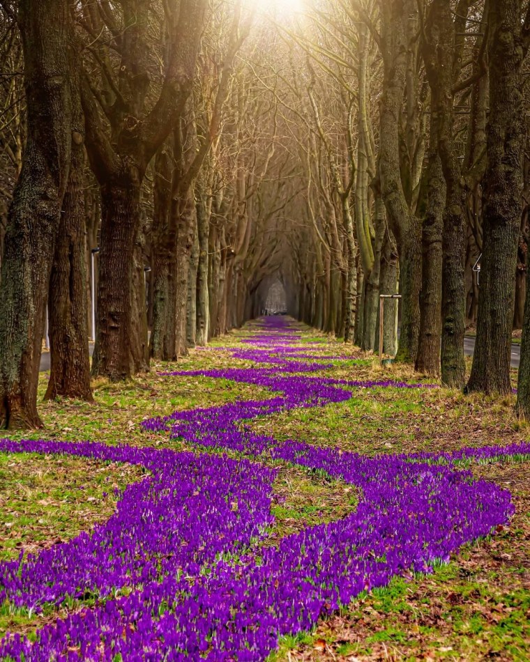 Красивые при красивые