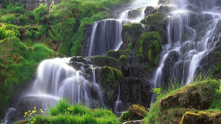 Sangardak sharsharasi