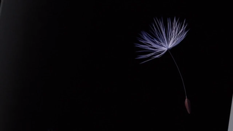 Обои Samsung s9 оригинальные