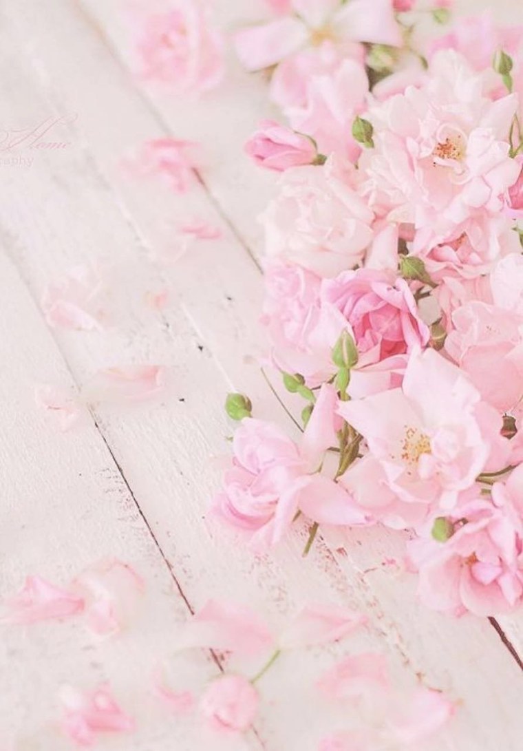 Пудровые пионы