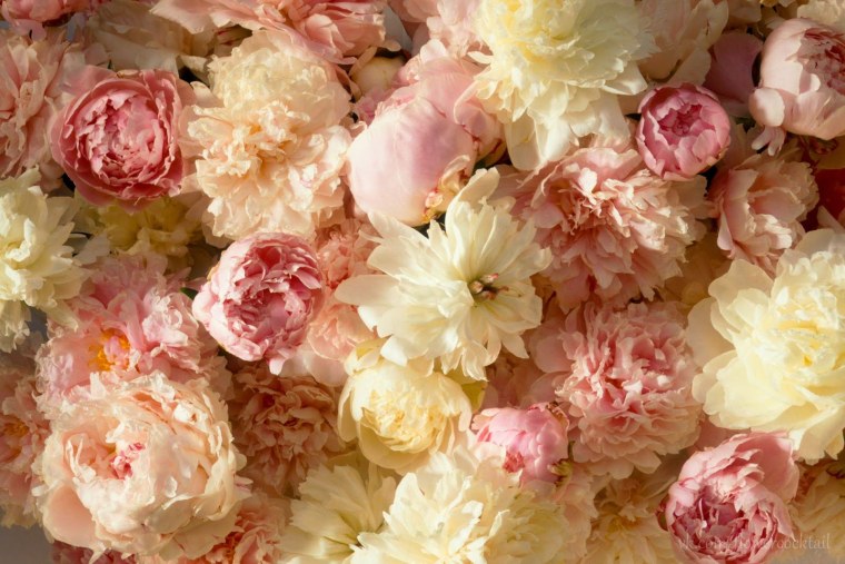 Нежные пастельные цветы