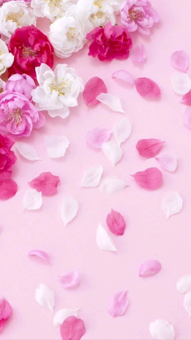 Пион Дашенька