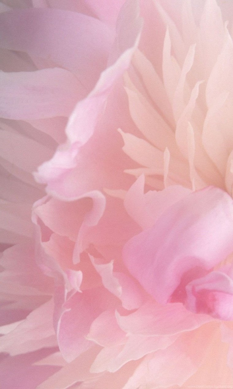 Нежные цвета